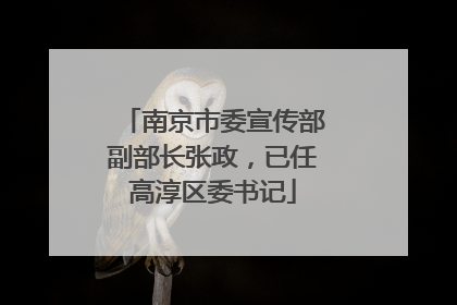 南京市委宣传部副部长张政，已任高淳区委书记