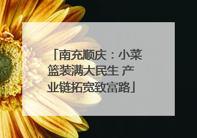 南充顺庆：小菜篮装满大民生 产业链拓宽致富路