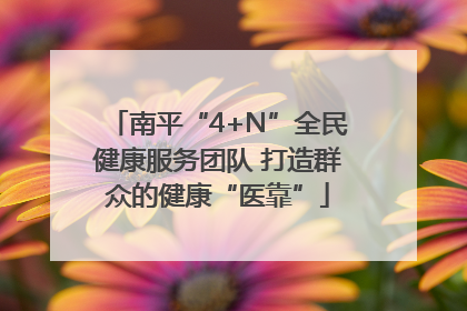 南平“4+N”全民健康服务团队 打造群众的健康“医靠”