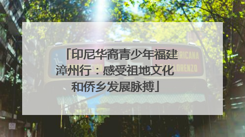 印尼华裔青少年福建漳州行：感受祖地文化和侨乡发展脉搏
