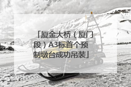 厦金大桥（厦门段）A3标首个预制墩台成功吊装