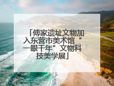 傅家遗址文物加入东营市美术馆“一眼千年”文物科技美学展