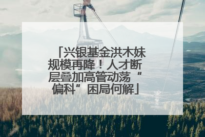 兴银基金洪木妹规模再降！人才断层叠加高管动荡“偏科”困局何解