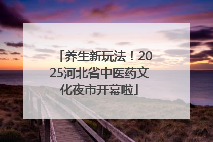 养生新玩法！2025河北省中医药文化夜市开幕啦
