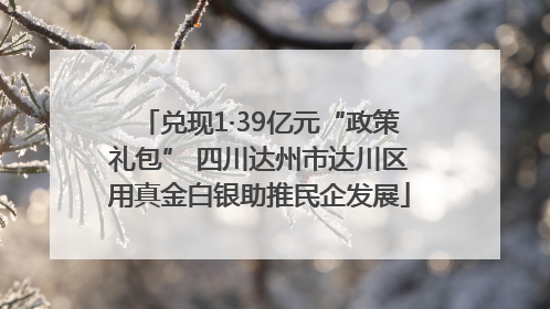 兑现1·39亿元“政策礼包” 四川达州市达川区用真金白银助推民企发展