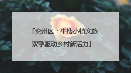 兖州区：牛楼小镇文旅双擎驱动乡村新活力