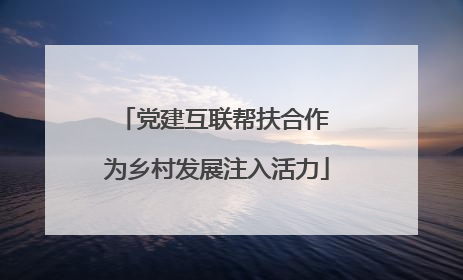 党建互联帮扶合作 为乡村发展注入活力