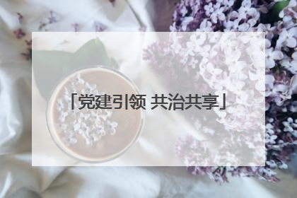 党建引领 共治共享