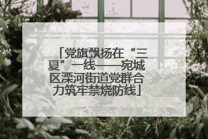 党旗飘扬在“三夏”一线——宛城区溧河街道党群合力筑牢禁烧防线