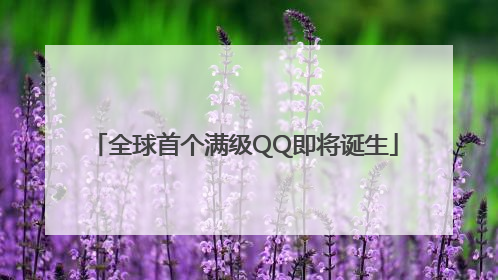 全球首个满级QQ即将诞生
