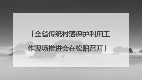全省传统村落保护利用工作现场推进会在松阳召开