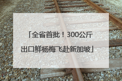 全省首批！300公斤出口鲜杨梅飞赴新加坡