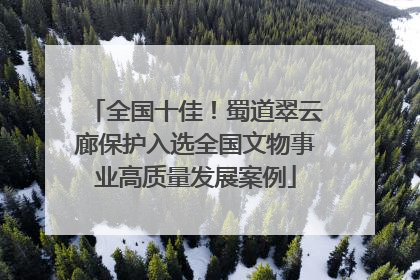全国十佳！蜀道翠云廊保护入选全国文物事业高质量发展案例