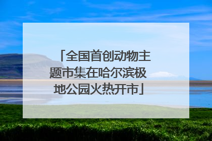 全国首创动物主题市集在哈尔滨极地公园火热开市