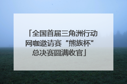 全国首届三角洲行动网咖邀请赛“熊族杯”总决赛圆满收官
