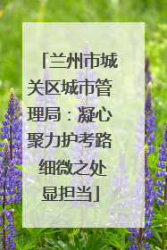 兰州市城关区城市管理局：凝心聚力护考路 细微之处显担当