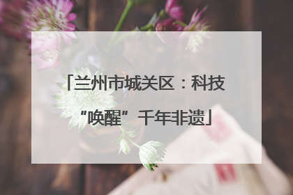 兰州市城关区：科技“唤醒”千年非遗