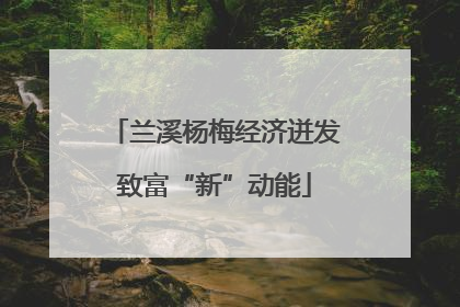 兰溪杨梅经济迸发致富“新”动能