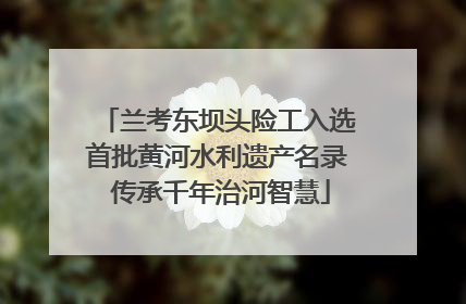 兰考东坝头险工入选首批黄河水利遗产名录 传承千年治河智慧