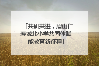 共研共进，眉山仁寿城北小学共同体赋能教育新征程