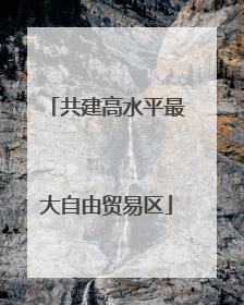 共建高水平最大自由贸易区