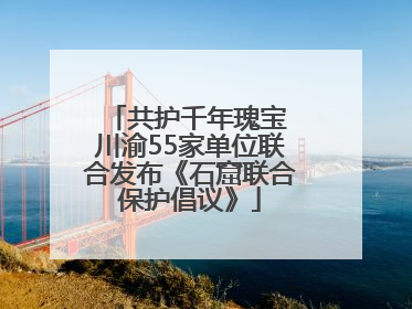 共护千年瑰宝 川渝55家单位联合发布《石窟联合保护倡议》