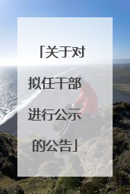 关于对拟任干部进行公示的公告