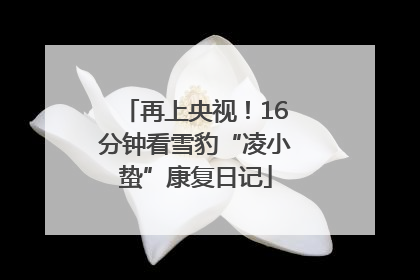 再上央视！16分钟看雪豹“凌小蛰”康复日记