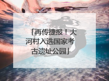 再传捷报！大河村入选国家考古遗址公园