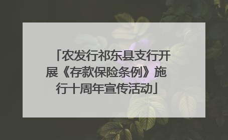 农发行祁东县支行开展《存款保险条例》施行十周年宣传活动