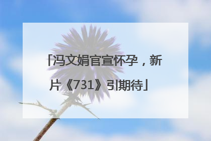 冯文娟官宣怀孕，新片《731》引期待