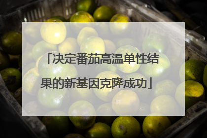 决定番茄高温单性结果的新基因克隆成功