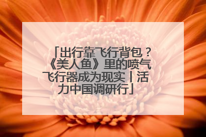 出行靠飞行背包？《美人鱼》里的喷气飞行器成为现实丨活力中国调研行