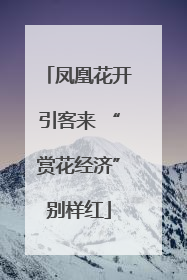 凤凰花开引客来 “赏花经济”别样红