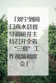 刘宁到周口商水县督导调研并主持召开全省“三夏”工作视频调度会