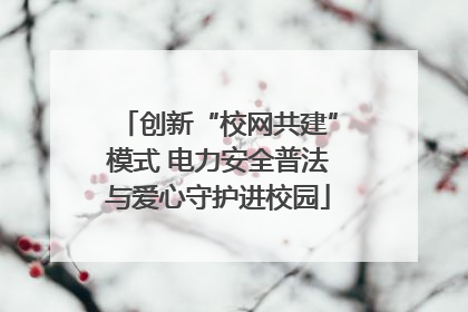 创新“校网共建”模式 电力安全普法与爱心守护进校园