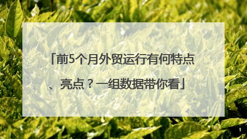 前5个月外贸运行有何特点、亮点？一组数据带你看
