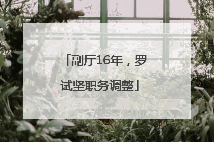 副厅16年，罗试坚职务调整