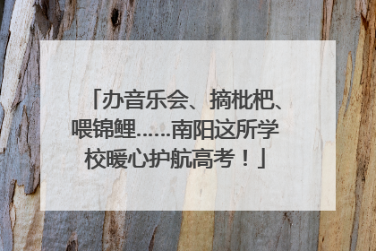 办音乐会、摘枇杷、喂锦鲤……南阳这所学校暖心护航高考！