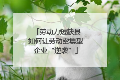 劳动力短缺县 如何让劳动密集型企业“逆袭”