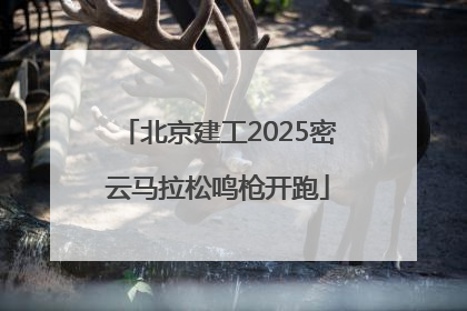 北京建工2025密云马拉松鸣枪开跑