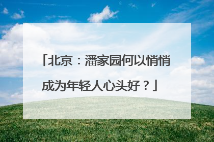 北京：潘家园何以悄悄成为年轻人心头好？