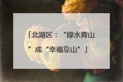 北湖区：“绿水青山”成“幸福靠山”