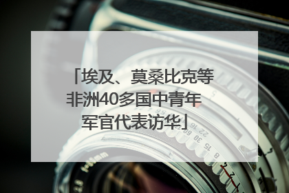 埃及、莫桑比克等非洲40多国中青年军官代表访华