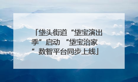 垡头街道“垡宝演出季”启动 “垡宝治家”数智平台同步上线