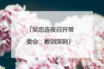 吴忠连夜召开常委会：教训深刻