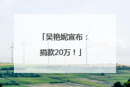 吴艳妮宣布：捐款20万！