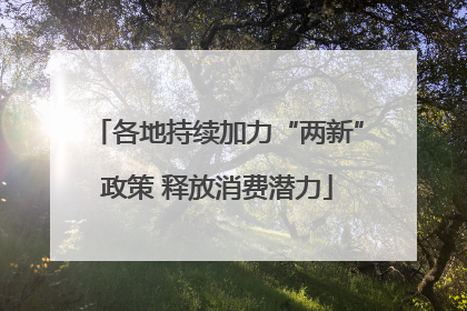 各地持续加力“两新”政策 释放消费潜力