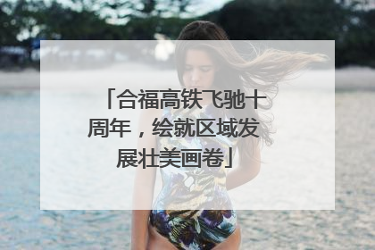 合福高铁飞驰十周年，绘就区域发展壮美画卷