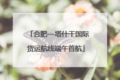 合肥—塔什干国际货运航线端午首航
